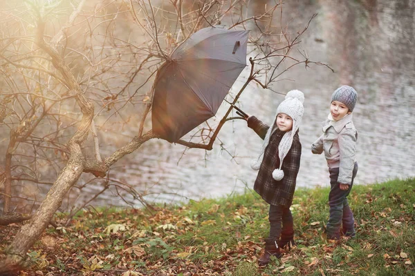 Les Enfants Marchent Dans Parc Automne Dans Fal — Photo