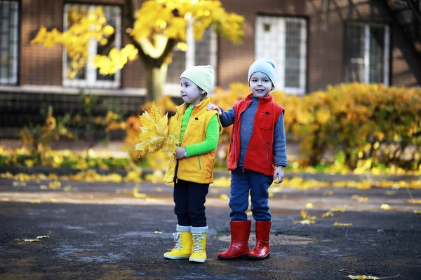 Les Enfants Marchent Dans Parc Automne Dans Fal — Photo