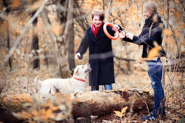 Tonårstjej Med Mamma Och Hund Ute Höstparken — Stockfoto