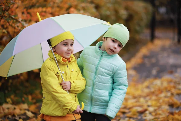 Los Niños Caminan Parque Otoño Fal — Foto de Stock