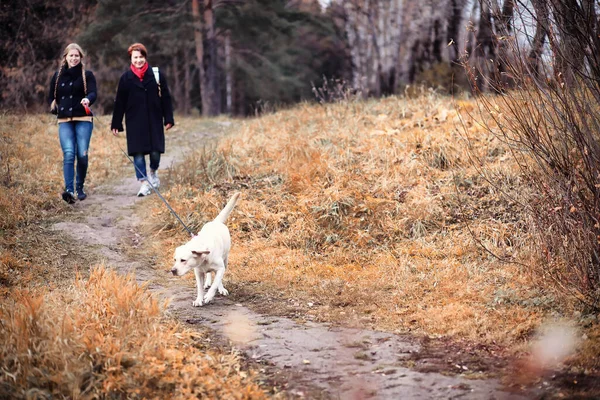 Menina Adolescente Com Mãe Cão Andando Parque Outono — Fotografia de Stock