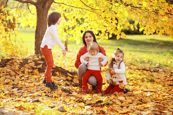 Familia Joven Paseo Por Parque Otoño Día Soleado Felicidad Estar —  Fotos de Stock