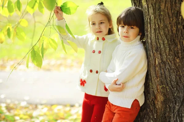 Enfants Pour Une Promenade Dans Parc Automne Les Feuilles Tombent — Photo