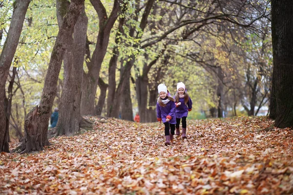 Familia Joven Paseo Por Parque Otoño Día Soleado Felicidad Estar —  Fotos de Stock