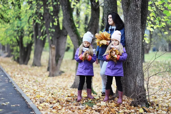 Sonbahar Parkında Yürüyüşe Çıkmış Çocuklar Yaprak Parkta Düşer Aile Düş — Stok fotoğraf
