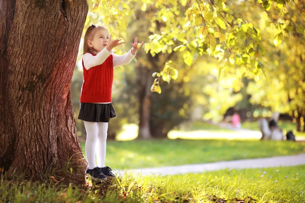 Barn Med Portföljer För Promenad Parken Skoluppehåll Början Barnstudierna — Stockfoto