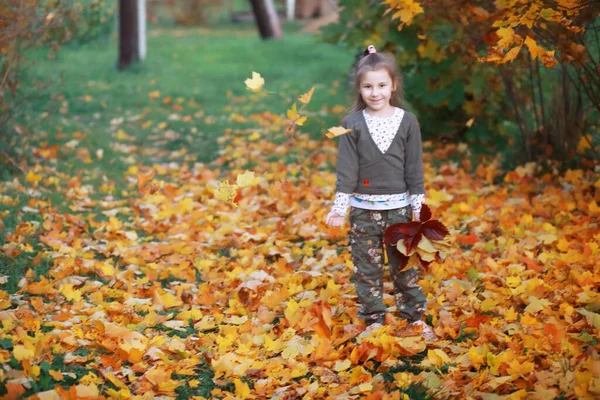 Jonge Familie Een Wandeling Het Herfstpark Zonnige Dag Geluk Samen — Stockfoto