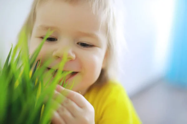 Linda Niña Pequeña Divirtiéndose Sosteniendo Maceta Con Flores Plantadas Casa —  Fotos de Stock