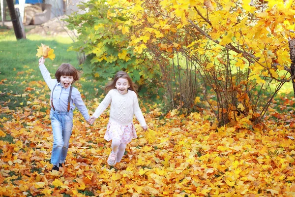 Genç Bir Aile Güneşli Bir Günde Sonbahar Parkında Yürüyüş Yapıyor — Stok fotoğraf