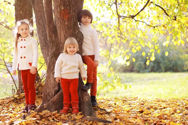 Jonge Familie Een Wandeling Het Herfstpark Zonnige Dag Geluk Samen — Stockfoto