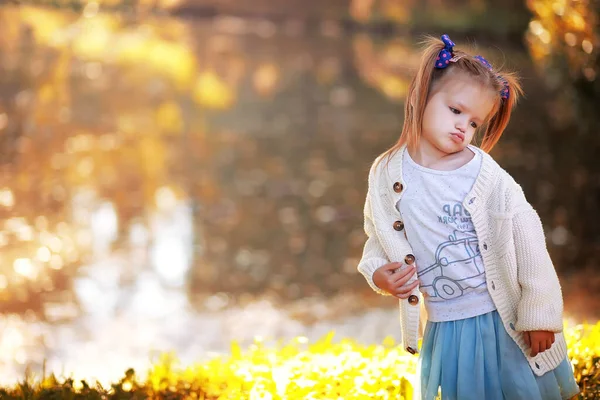 Caída Hojas Parque Niños Dando Paseo Por Parque Otoño Familia — Foto de Stock