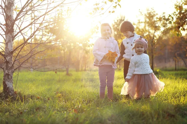 Genç Bir Aile Güneşli Bir Günde Sonbahar Parkında Yürüyüş Yapıyor — Stok fotoğraf