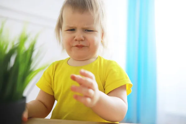 Cute Little Toddler Girl Having Fun Holding Pot Planted Flower — Stock Photo, Image