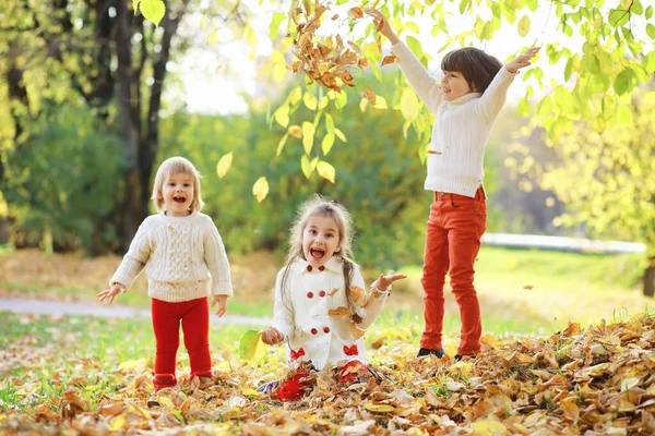 Sonbahar Parkında Yürüyüşe Çıkmış Çocuklar Yaprak Parkta Düşer Aile Düş — Stok fotoğraf