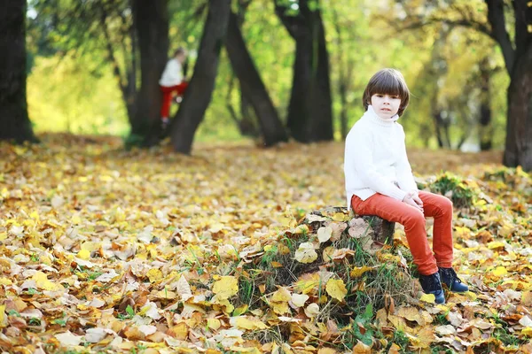 Los Niños Dan Paseo Parque Otoño Caída Hojas Parque Familia — Foto de Stock