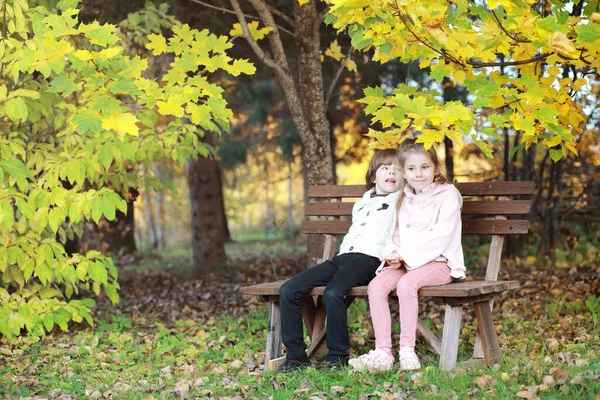 Jonge Familie Een Wandeling Het Herfstpark Zonnige Dag Geluk Samen — Stockfoto