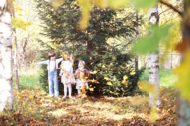 Genç bir aile güneşli bir günde sonbahar parkında yürüyüş yapıyor. Birlikte olmanın mutluluğu..