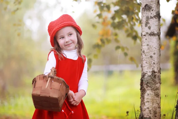 Liten Flicka Röd Hatt Och Klänningar Går Parken Cosplay För — Stockfoto