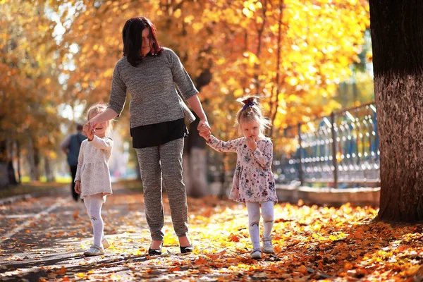 Caída Hojas Parque Niños Dando Paseo Por Parque Otoño Familia —  Fotos de Stock