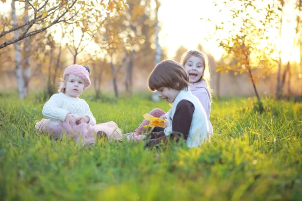 Família Jovem Passeio Parque Outono Dia Ensolarado Felicidade Estar Juntos — Fotografia de Stock