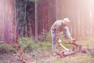 Büyük bir balta ile sakallı bir oduncu ağaç felling önce inceler
