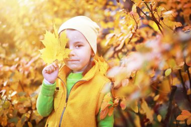 Çocuklar sonbahar parkında sonbaharda yürürler