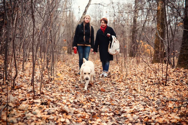 Teen Girl Mother Dog Walking Autumn Garden — Zdjęcie stockowe