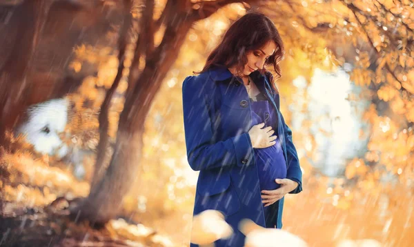 Donna Incinta Una Passeggiata Nel Parco — Foto Stock