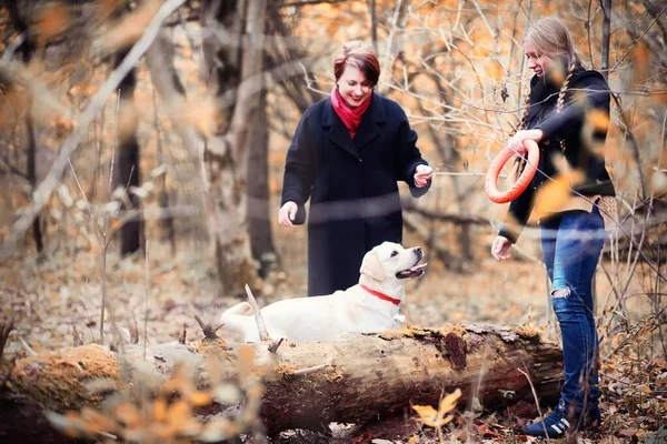 Tonårstjej Med Mamma Och Hund Promenad Höstträdgården — Stockfoto