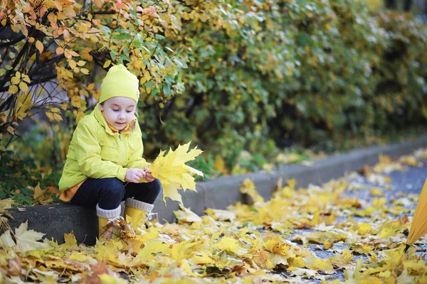 Barnen Går Höstparken Fjällen — Stockfoto