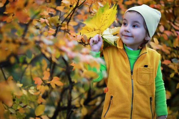Kinderen Wandelen Het Najaarspark Herfst — Stockfoto