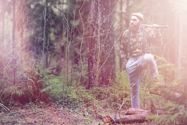 Bûcheron Barbu Avec Une Grande Hache Examine Arbre Avant Abattre — Photo