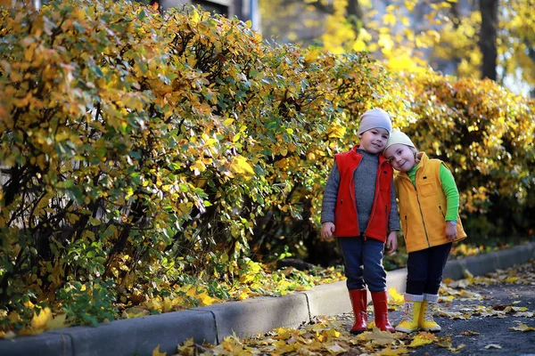 Los Niños Caminan Parque Otoño Otoño —  Fotos de Stock