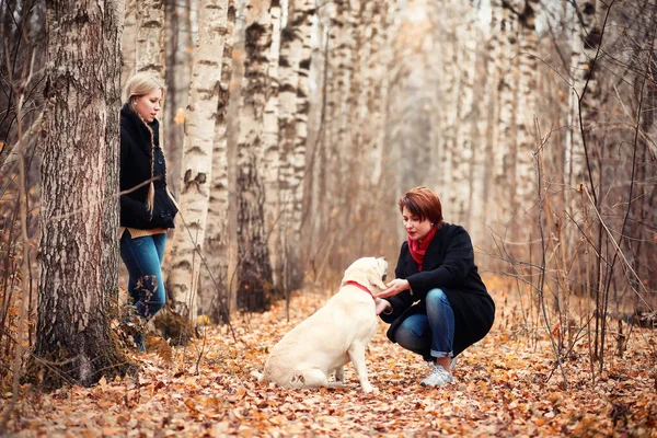 Teen Girl Mother Dog Walking Autumn Garden — Zdjęcie stockowe