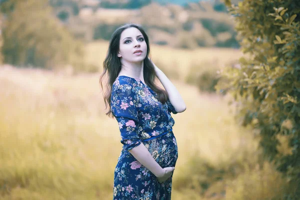 Terhes Lány Egy Ruha Természetben Falon — Stock Fotó