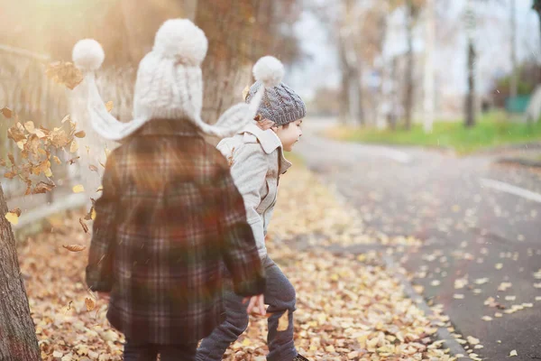 Дети Прогуливаются Осеннему Парку Лужайке — стоковое фото
