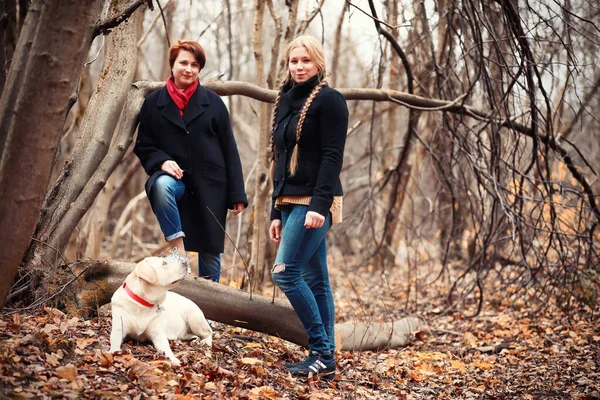 Teenagermädchen Mit Mutter Und Hund Spazieren Herbstgarten — Stockfoto