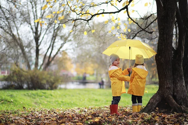 Gyerekek Sétálnak Őszi Parkban Falon — Stock Fotó