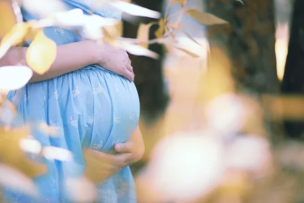 妊娠中の女の子で自然の中でドレス上のWal — ストック写真