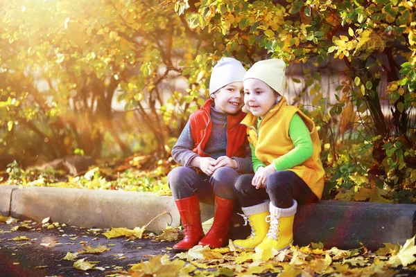 Les Enfants Marchent Dans Parc Automne Dans Fal — Photo