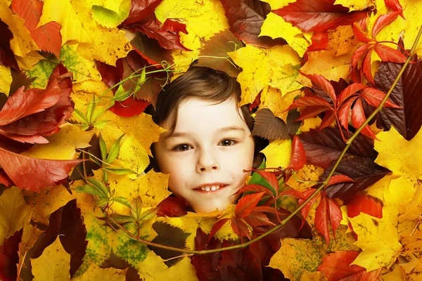 Artystyczny Portret Jesiennego Chłopca Kolorowe Liście Liście Drzew Wokół Emocjonalnej — Zdjęcie stockowe