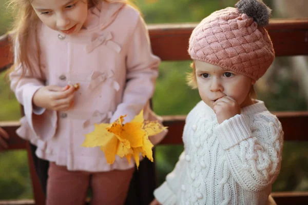 Jonge Familie Een Wandeling Het Herfstpark Zonnige Dag Geluk Samen — Stockfoto