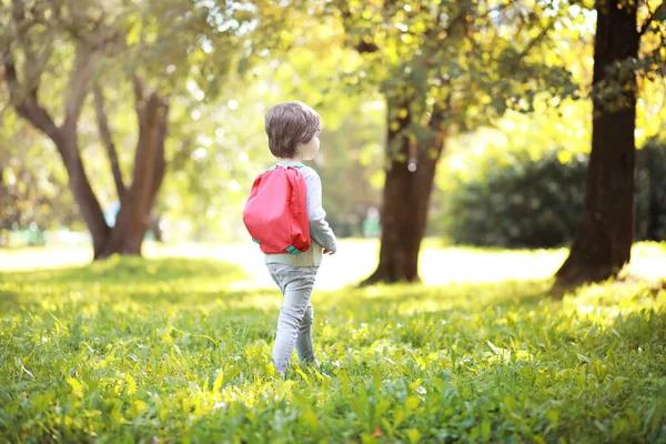 Barn Med Portföljer För Promenad Parken Skoluppehåll Början Barnstudierna — Stockfoto