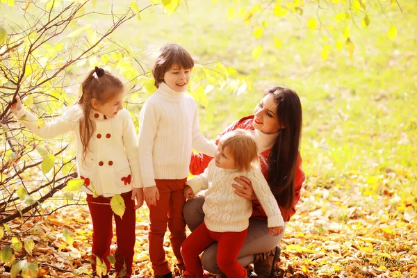 Νεαρή Οικογένεια Μια Βόλτα Στο Πάρκο Φθινόπωρο Την Ηλιόλουστη Μέρα — Φωτογραφία Αρχείου