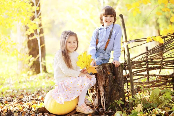 Jonge Familie Een Wandeling Het Herfstpark Zonnige Dag Geluk Samen — Stockfoto
