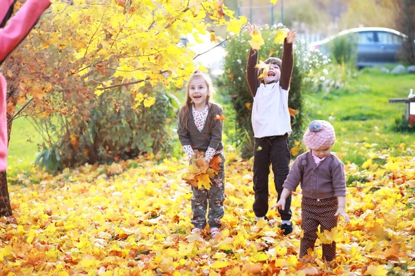 Genç Bir Aile Güneşli Bir Günde Sonbahar Parkında Yürüyüş Yapıyor — Stok fotoğraf