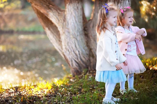 Caída Hojas Parque Niños Dando Paseo Por Parque Otoño Familia —  Fotos de Stock