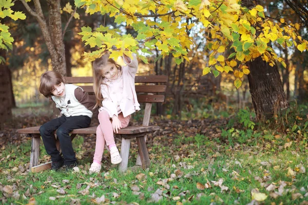 Jonge Familie Een Wandeling Het Herfstpark Zonnige Dag Geluk Samen — Stockfoto