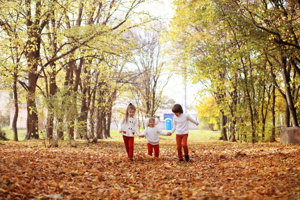 Giovane Famiglia Una Passeggiata Nel Parco Autunnale Nella Giornata Sole — Foto Stock