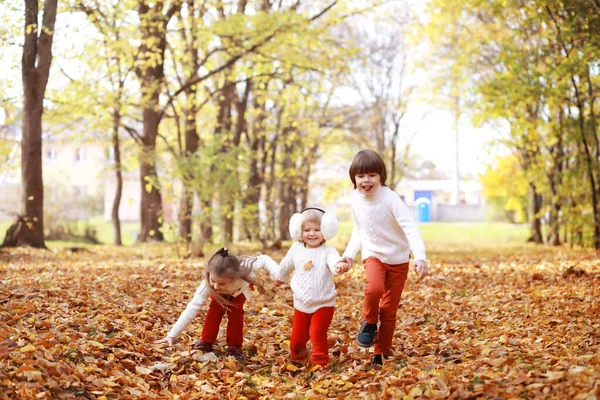 Jeune Famille Promenade Dans Parc Automne Par Une Journée Ensoleillée — Photo